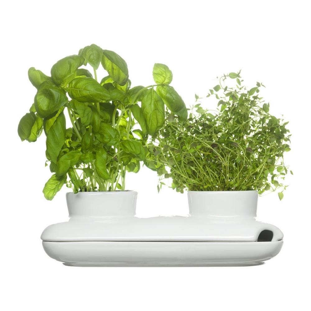 Herb Pot, Duo, Sagaform
